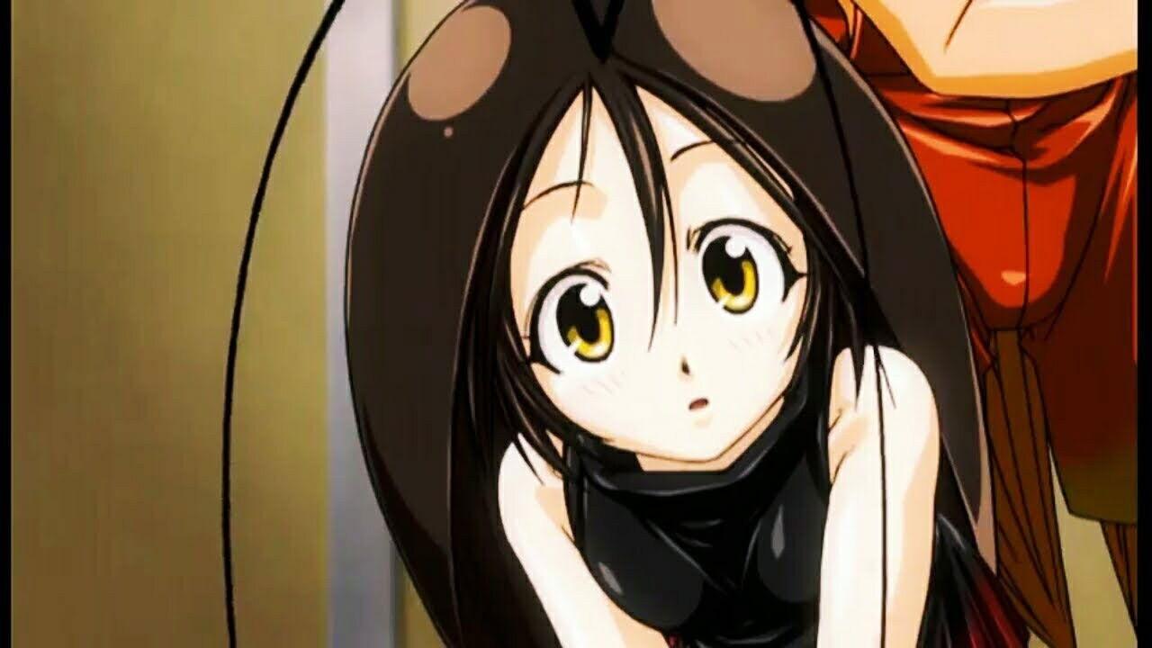 Gokicha!! Cockroach Girl backdrop