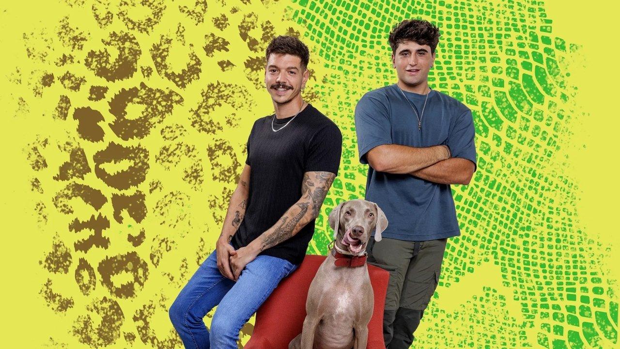 Conde & Fonde backdrop