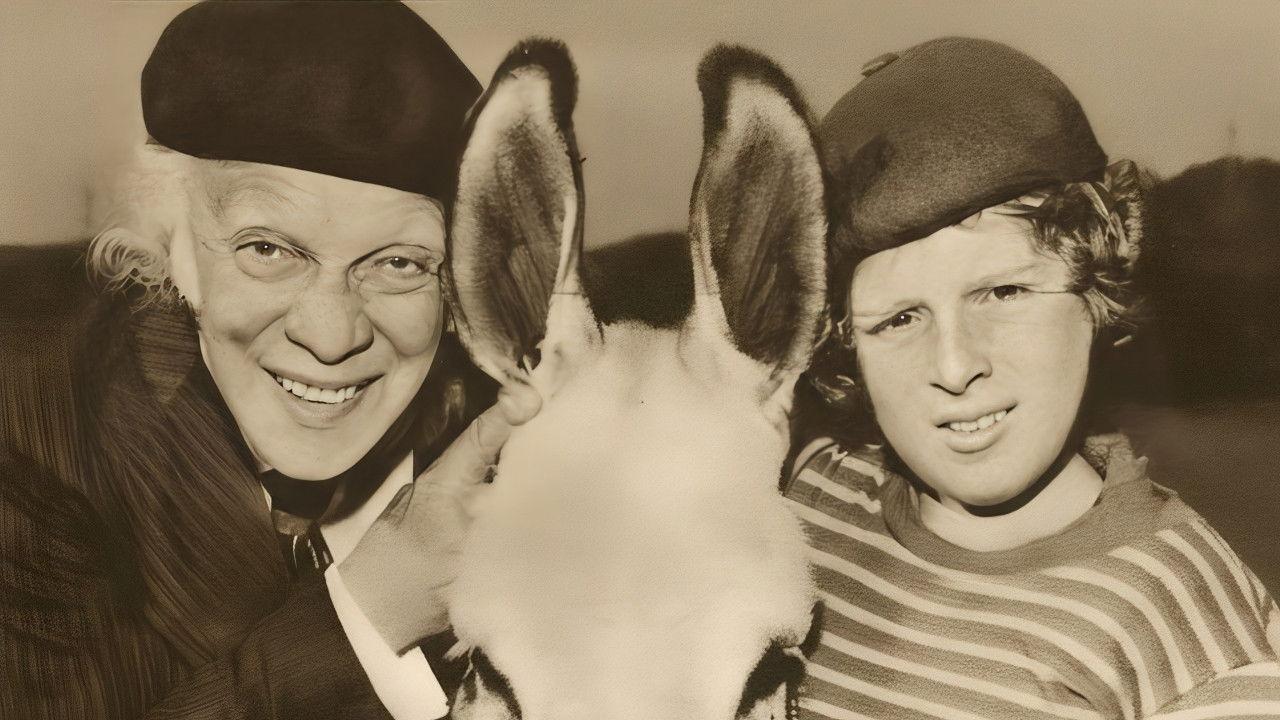 O Velho, o Menino e o Burro backdrop