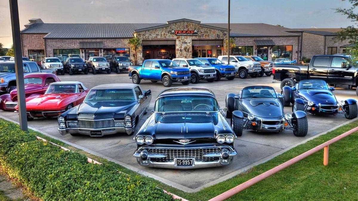 Dallas Car Sharks backdrop