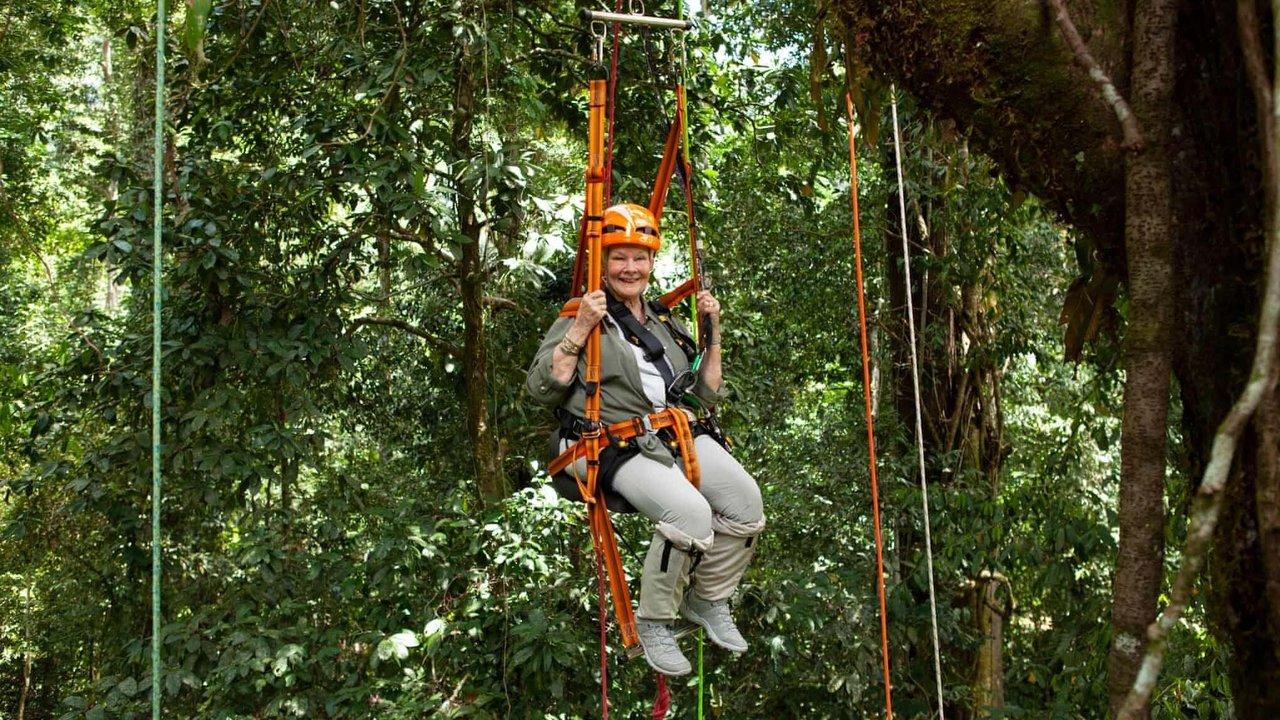Judi Dench's Wild Borneo Adventure backdrop