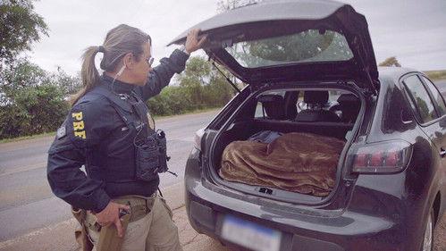 Border Control: Brazil Season 3 Episode 1 - Episode 1