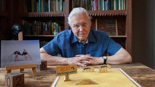David Attenborough's Natural Curiosities Season 4 Episode 4 - Curious Counters