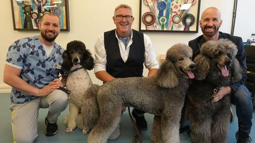 Dogs Behaving (Very) Badly Season 8 Episode 5 - Episode 5