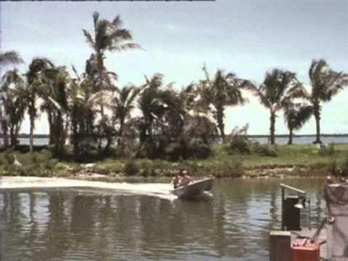 Flipper Season 3 Episode 20 - Dolphin for Ransom