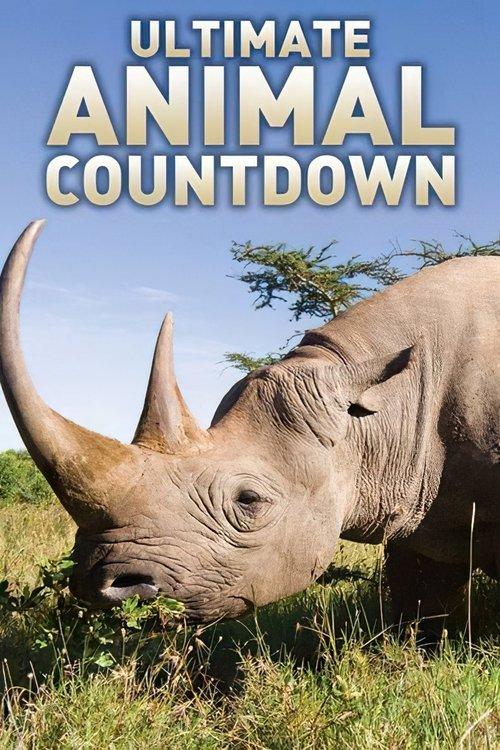 Ultimate Animal Countdown poster