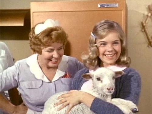 Hazel Season 3 Episode 12 - Call Me Harve