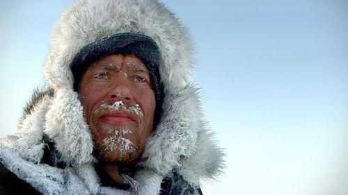 Background image for Ulvejakt i de dype skoger