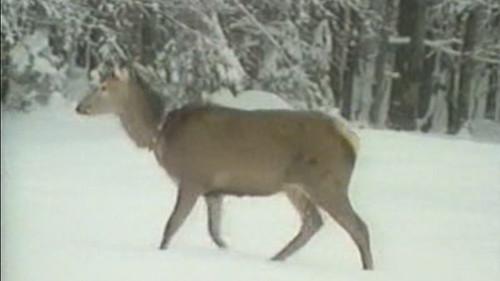 Background image for Episode 7