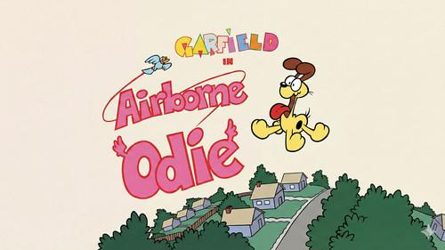 Garfield and Friends Season 5 Episode 25 - Airborne Odie