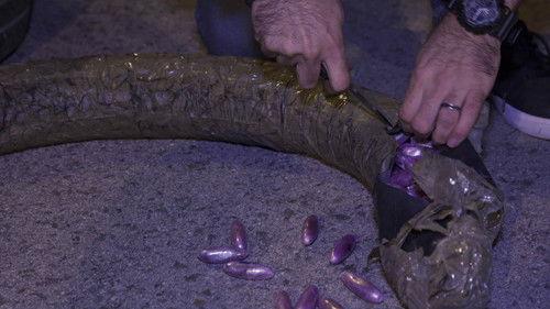 Border Control: Spain Season 5 Episode 8 - Episode 8