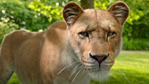 Jane Season 3 Episode 4 - Loxodonta africana