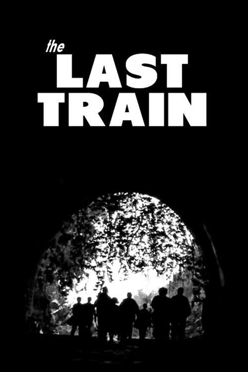 The Last Train poster