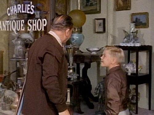 Hazel Season 2 Episode 10 - Genie With the Light Brown Lamp