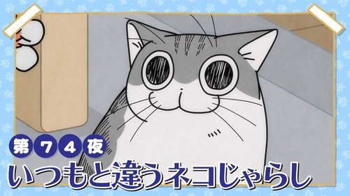 Night 74: A Different Kind of Cat Teaser
