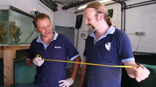 Background image for Exploding Toads