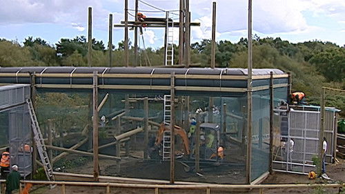 Background image for Episode 12