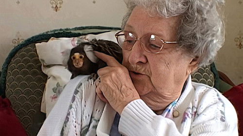 Background image for Episode 13