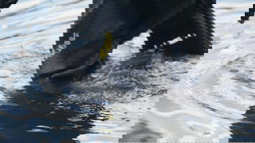 Background image for Episode 2