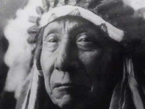 The Spirit of Crazy Horse