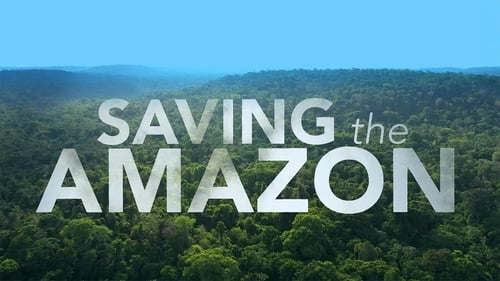 Saving The Amazon