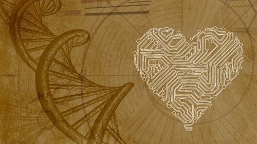 Background image for The Honeymoon Effect