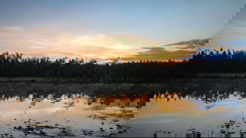 Background image for Europe's Living Waters