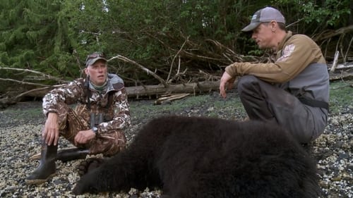 Up at the Cabin: Prince of Wales Island Black Bear with Paul Neess