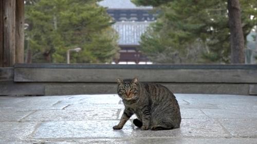 Nara