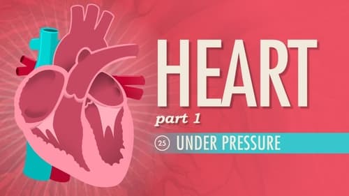 The Heart, Part 1 - Under Pressure