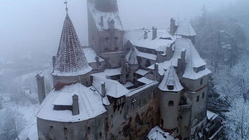 Background image for Back From the Dead