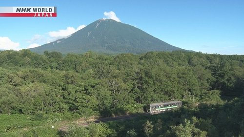 Background image for The Summer Breezes of Southern Hokkaido