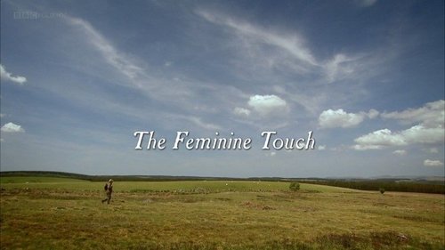 Background image for The Feminine Touch