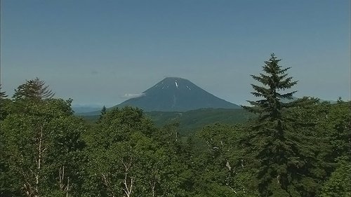 Background image for Summer on Mt. Yotei
