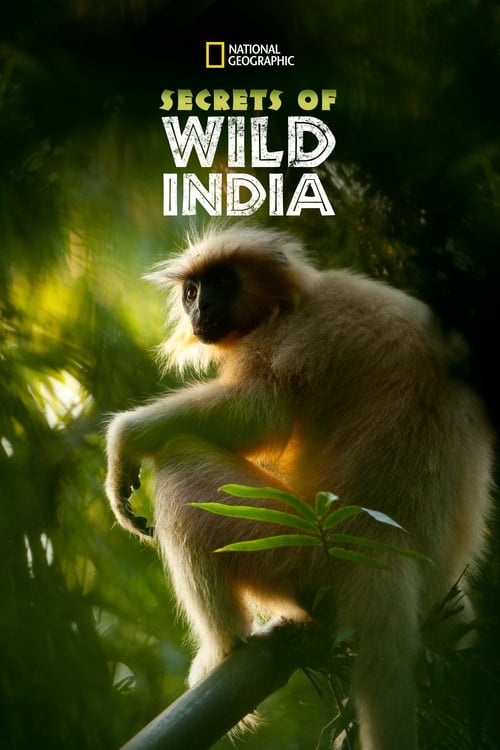 Show cover for Secrets of Wild India