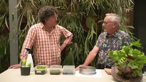 Background image for Episode 12 Chickens, Ferns, Bougainvillea & Vegan
