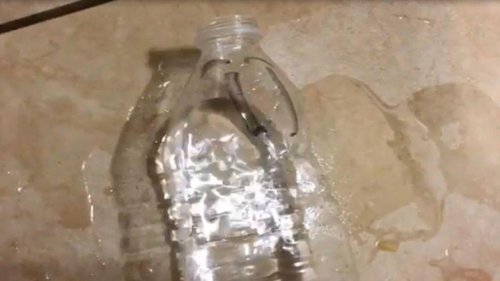Background image for The Day in the Life of a Water Bottle