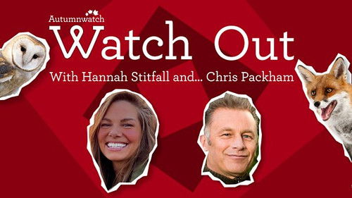 Background image for Watch Out with Hannah Stitfall and Chris Packham