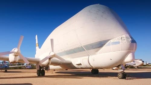 Remains of the Super Guppy