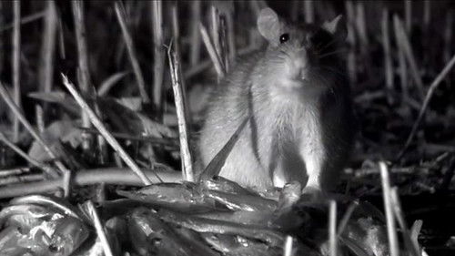 Background image for Episode 3