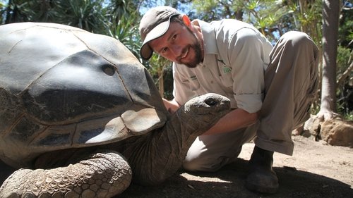Background image for 103-Year-Old Tortoise