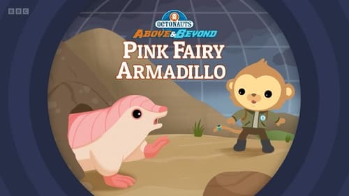 Pink Fairy Armadillo