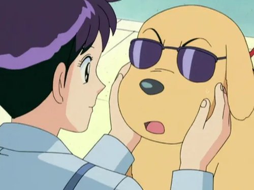 Episode 264