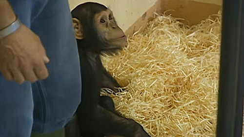 Background image for Episode 7