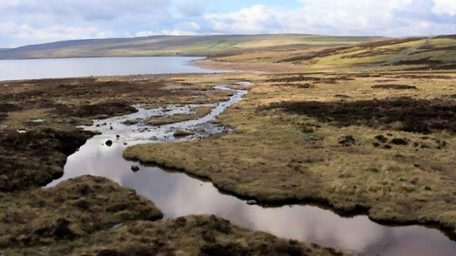 Upper Teesdale