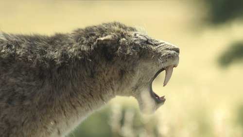 Background image for Grass Lands