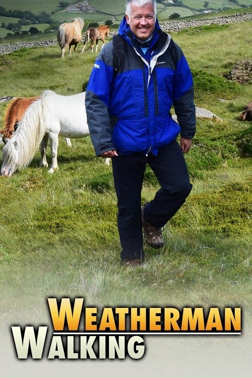Weatherman Walking poster