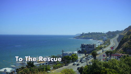 To The Rescue