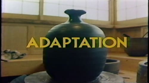 Adaptation