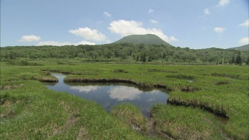 Background image for Early Summer in Niseko